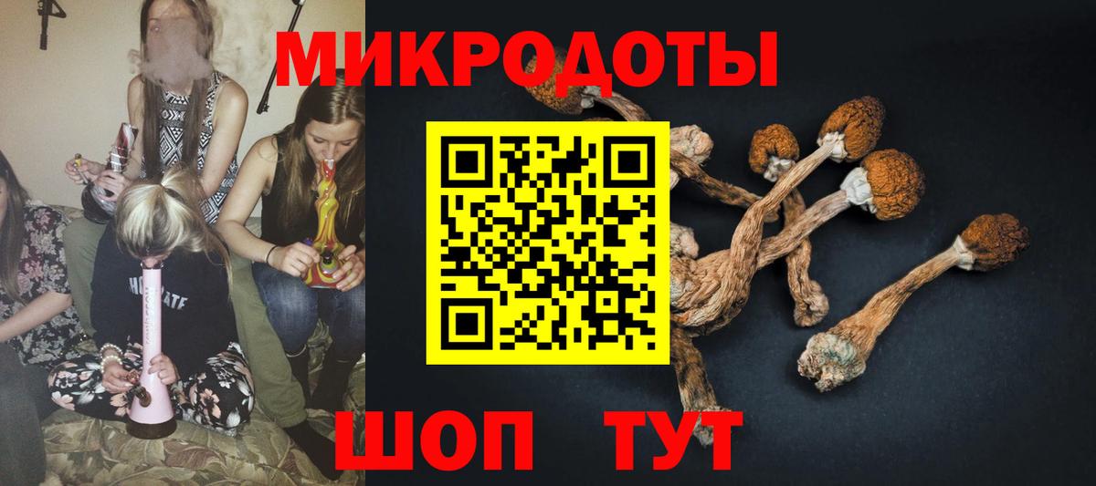 Галлюциногенные грибы мицелий Дубна
