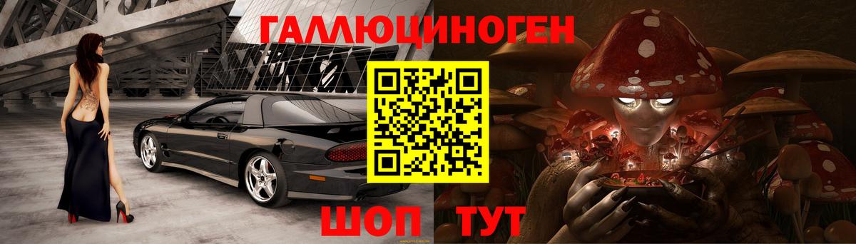 Дубна  Галлюциногенные грибы Psilocybe  Вход с VPN  закладки  Псилоцибиновые грибы прущие грибы 